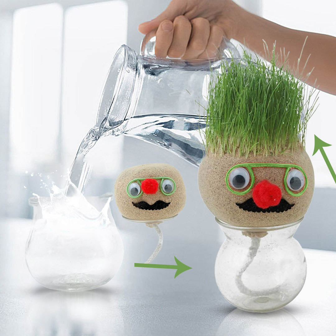 Mr. GrassHead | Fun Growing Grass | Buy 3 & Get a Mystery Gift ๐