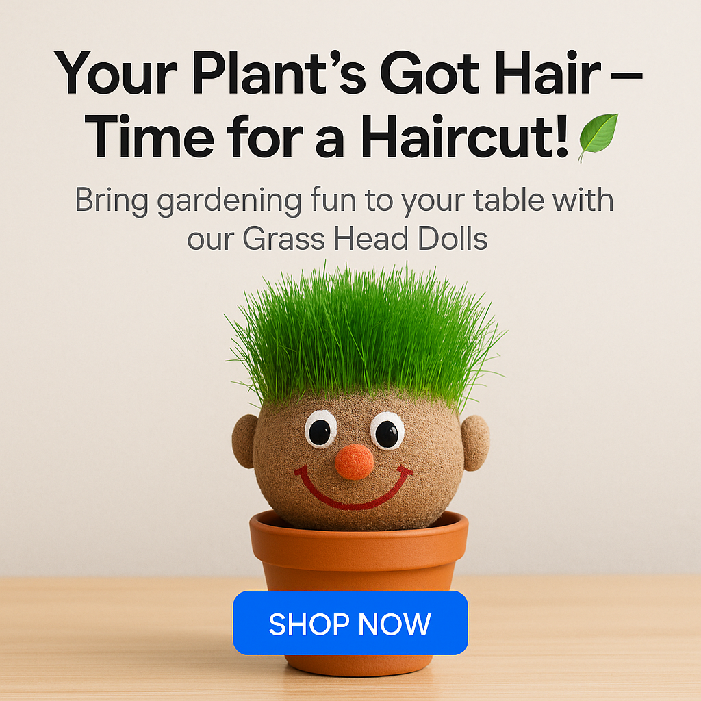 Mr. GrassHead | Fun Growing Grass | Buy 3 & Get a Mystery Gift ๐
