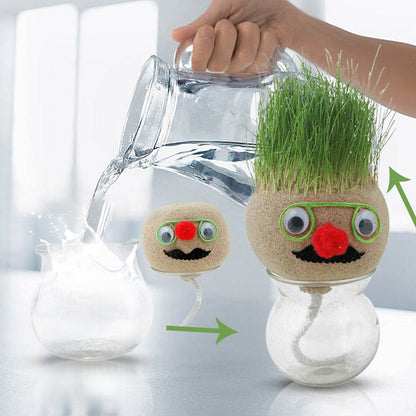 Mr. GrassHead | Fun Growing Grass | Buy 3 & Get a Mystery Gift 🎁