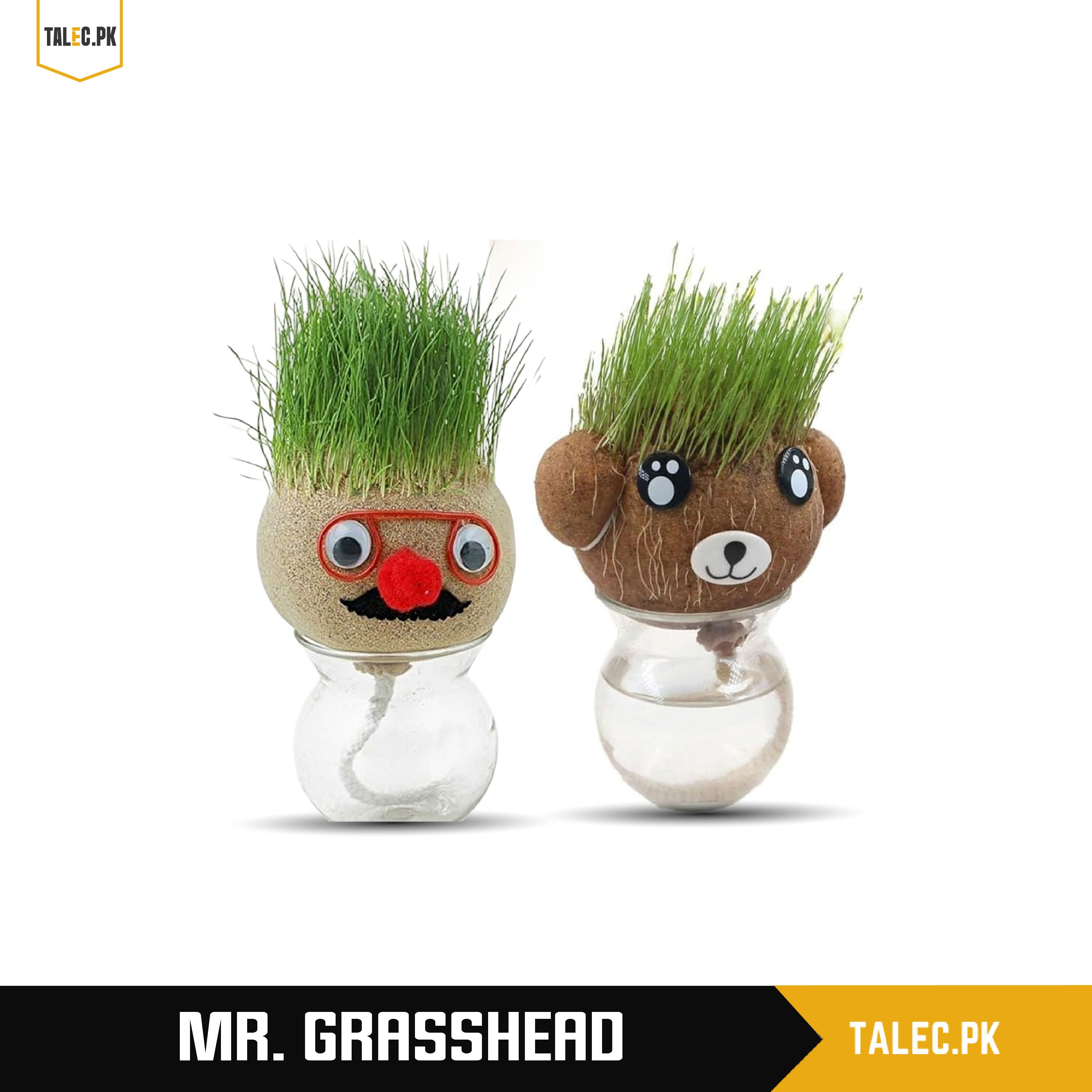 Mr. GrassHead | Fun Growing Grass | Buy 3 & Get a Mystery Gift 🎁